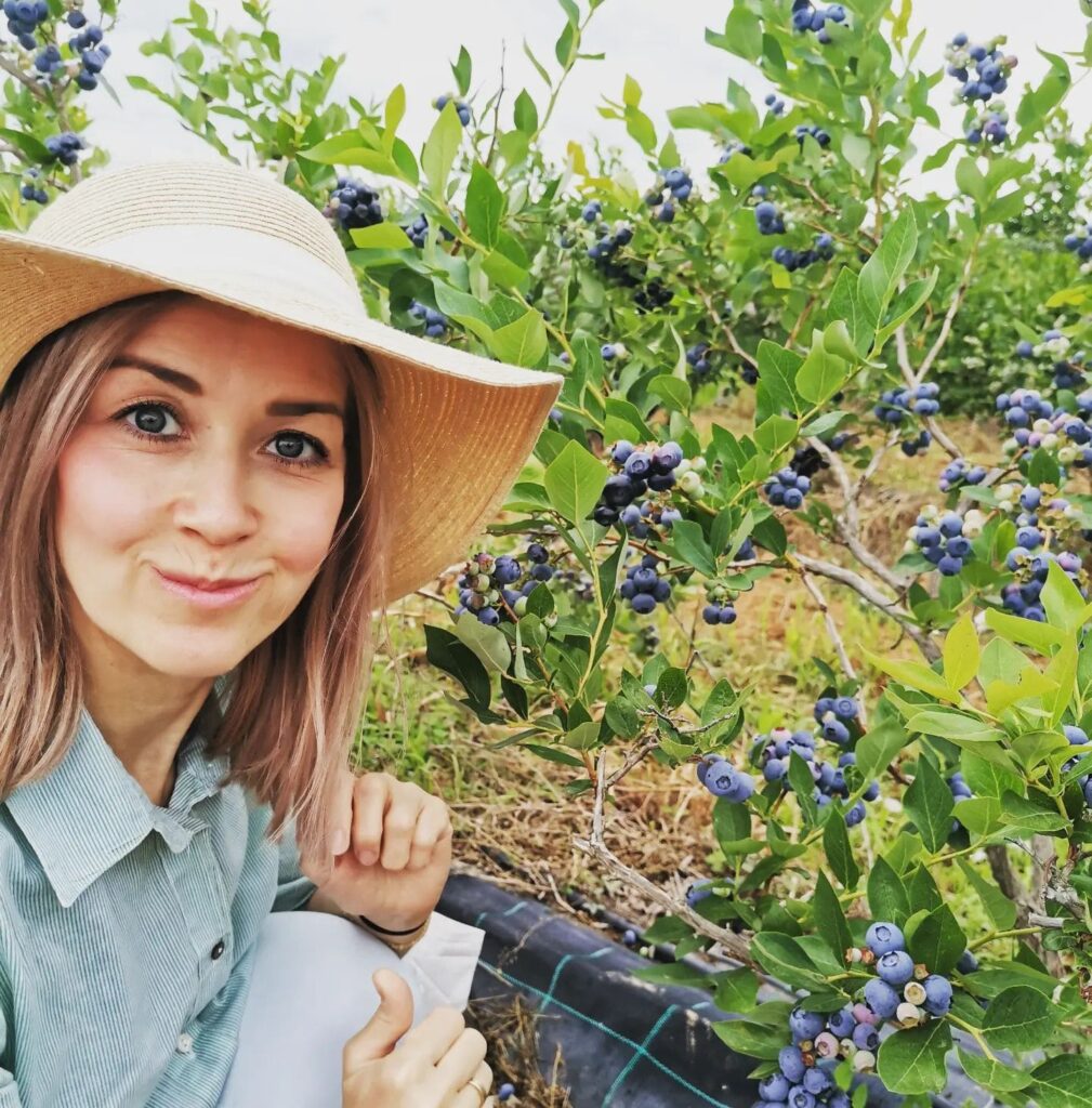 Μαρίνα μύρτιλα great blueberries